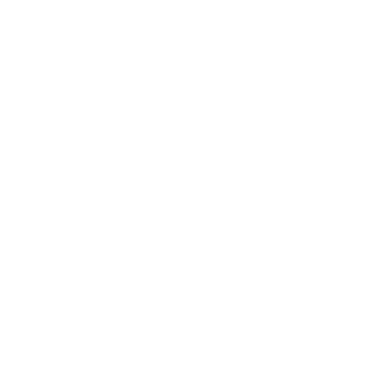White octagon PNG, SVG