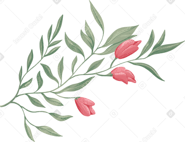 delicate green branch with three rose buds PNG, SVG