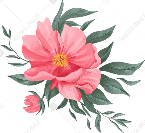 Grande flor rosa com pequeno botão e folhas PNG, SVG
