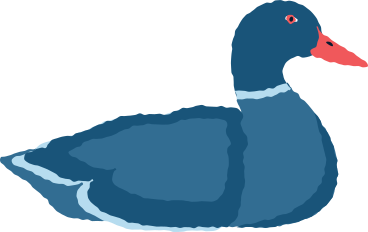 duck PNG, SVG