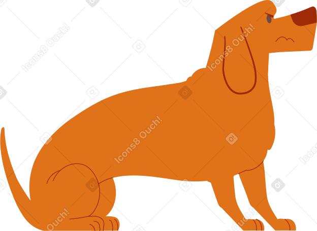 perro tejonero PNG, SVG