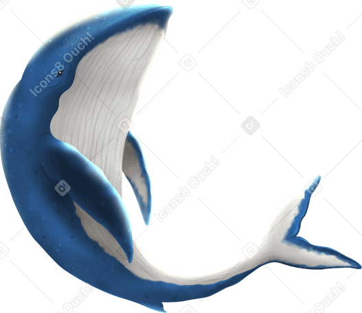whale в PNG, SVG