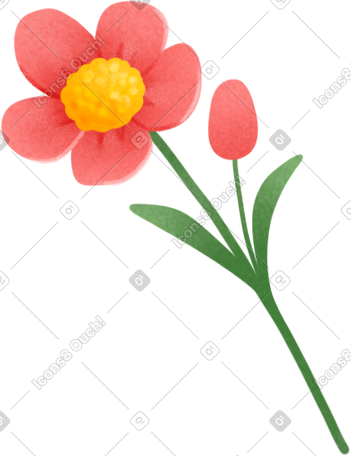 red flower PNG, SVG