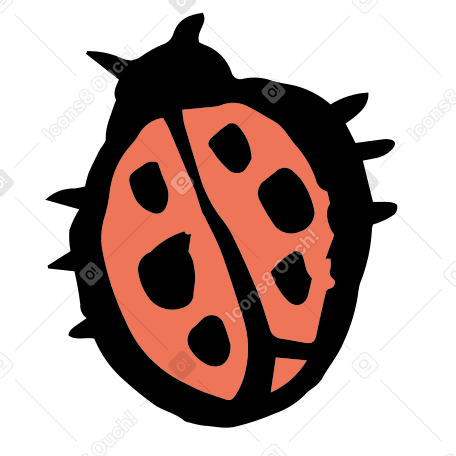 ladybug Illustration in PNG, SVG