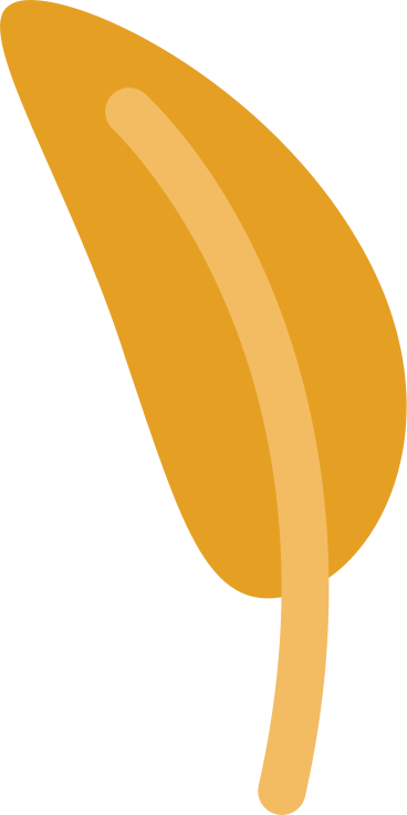 feather PNG, SVG