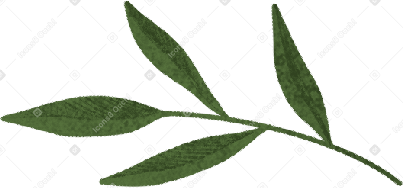 Ramita verde PNG, SVG