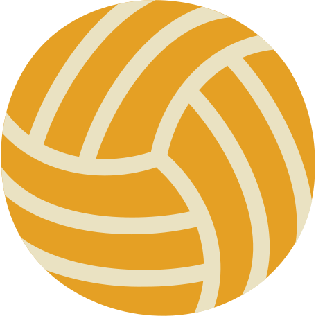 volleyball ball Illustration in PNG, SVG