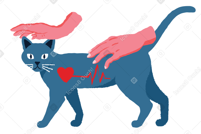 Veterinary Illustration in PNG, SVG