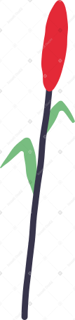 тростник в PNG, SVG