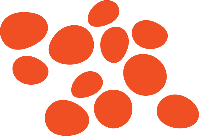 Illustration des oranges aux formats PNG, SVG