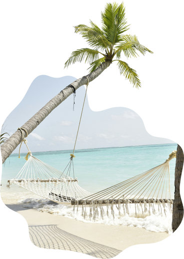 Background with beach, palm tree and hammock в PNG, SVG