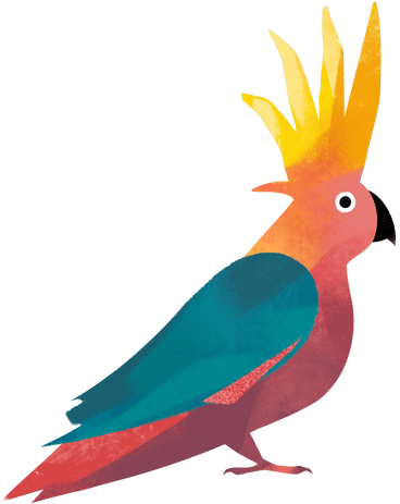 parrot PNG, SVG