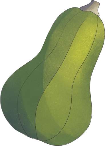 green pumpkin PNG, SVG