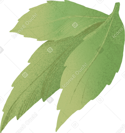 three green leaves в PNG, SVG
