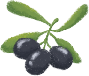 Black olive PNG、SVG