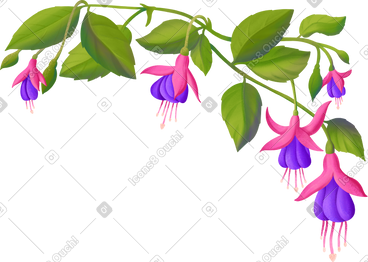 绿枝上紫红色花朵的排列 PNG, SVG