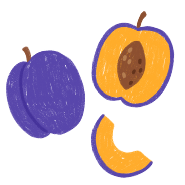 Plum, half of a plum and a plum slice PNG, SVG