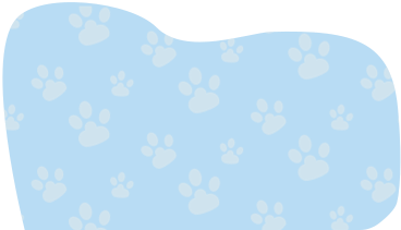 background with a paw PNG, SVG