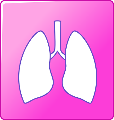 poumons PNG, SVG