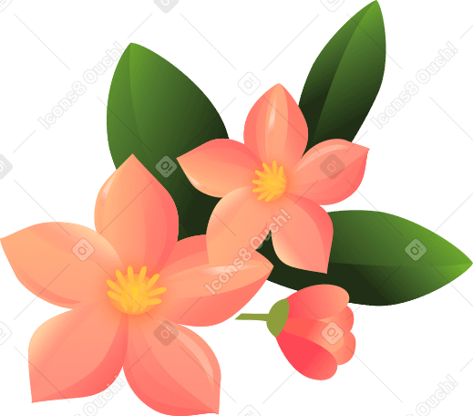 three pink flowers PNG, SVG