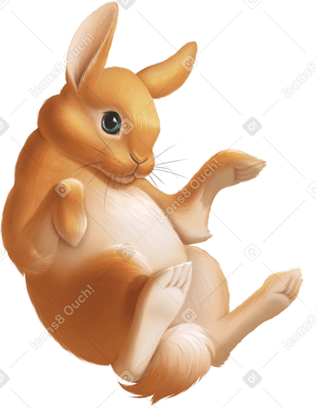 red rabbit PNG、SVG