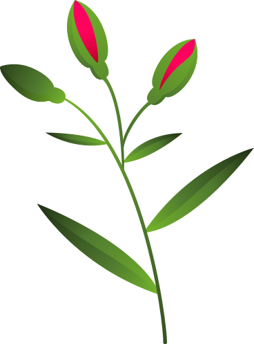 small twig with three rosebuds PNG, SVG