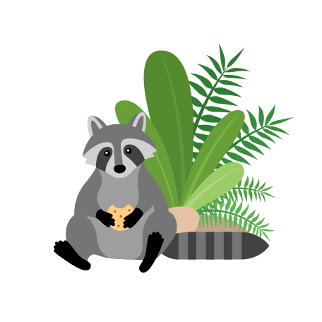 Raccoon with a cookie  Illustration in PNG, SVG
