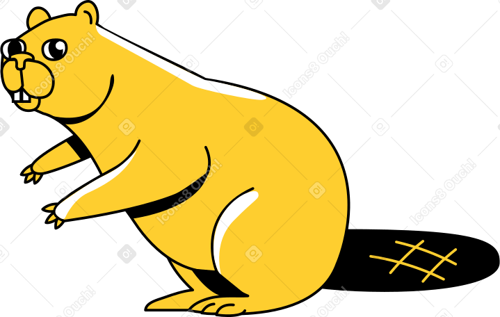 beaver PNG, SVG