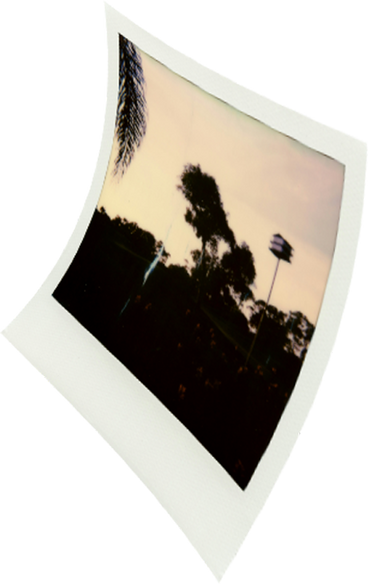 Polaroid в PNG, SVG