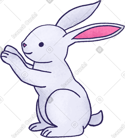 gray rabbit PNG, SVG