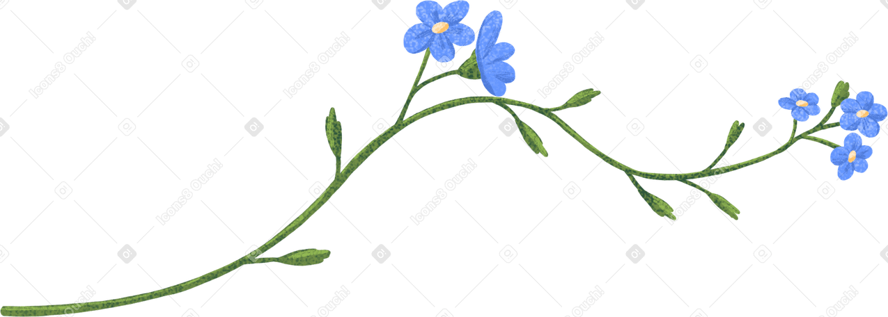twig of forget-me-nots PNG, SVG