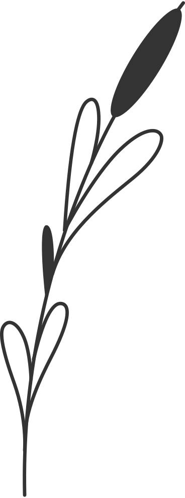 Тростник в PNG, SVG