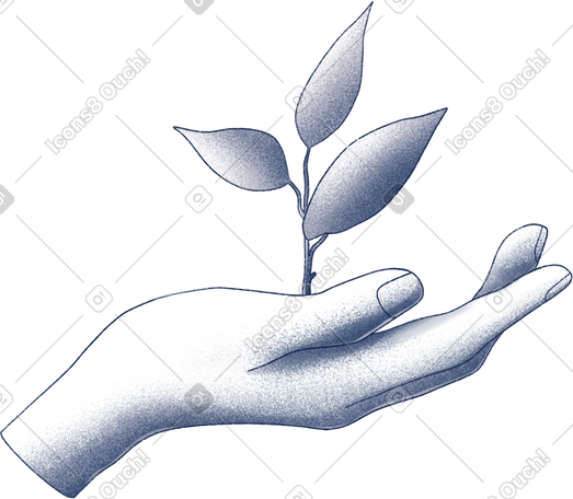 hand holding a sprout PNG, SVG