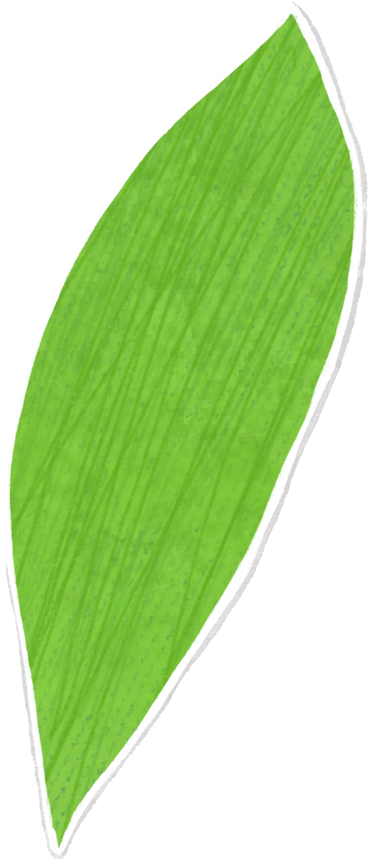 작은 녹색 잎 PNG, SVG