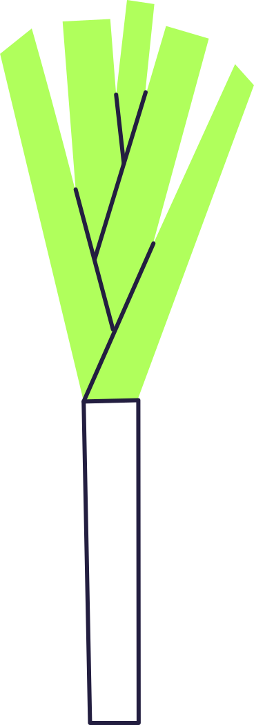 celery PNG, SVG