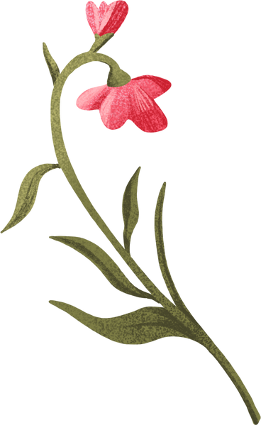 curved twig with two red buds PNG, SVG