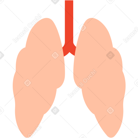 人間の肺 のpngとsvgでのイラスト