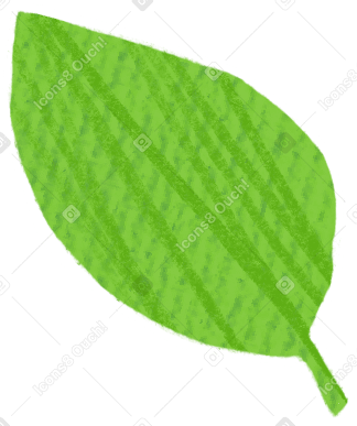 green leaf Illustration in PNG, SVG