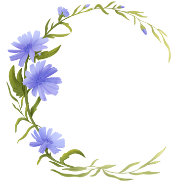 blue cornflowers in a semicircular wreath PNG, SVG