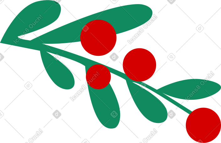 branch with rowan berries PNG, SVG