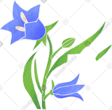 两朵蓝色风铃草 PNG, SVG