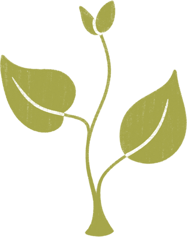 녹색 식물 PNG, SVG