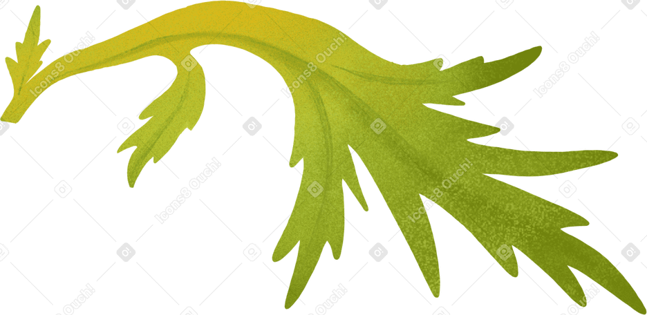 big green poppy leaf в PNG, SVG