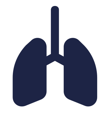 呼吸的肺动态插图，格式有GIF、Lottie (JSON)、AE