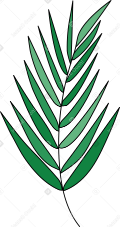 야자 잎 PNG, SVG
