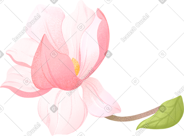 twig with large magnolia flower PNG, SVG