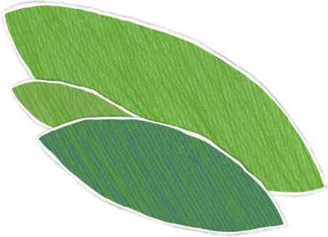 two large and one small green leaf lying on top of each other PNG, SVG