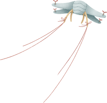 quadcopter with two ropes PNG, SVG