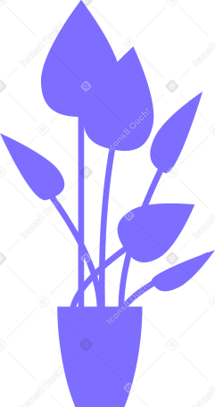 office plant with large leaves Illustration in PNG, SVG