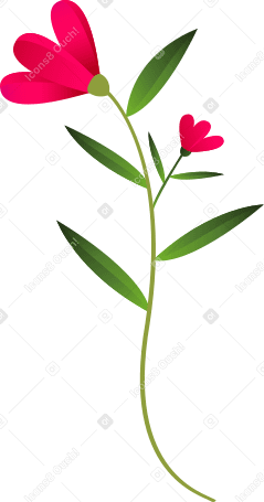 Ramoscello ricurvo con due fiori rosa PNG, SVG